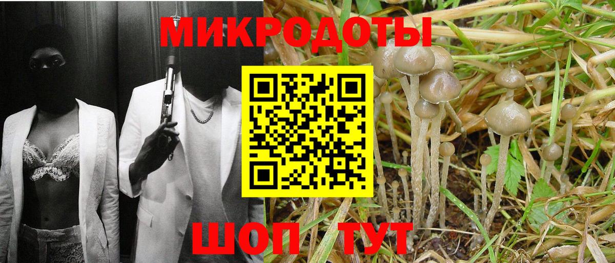 Печора  Галлюциногенные грибы Psilocybine cubensis  Вход с VPN  Галлюциногенные грибы Psilocybine cubensis 